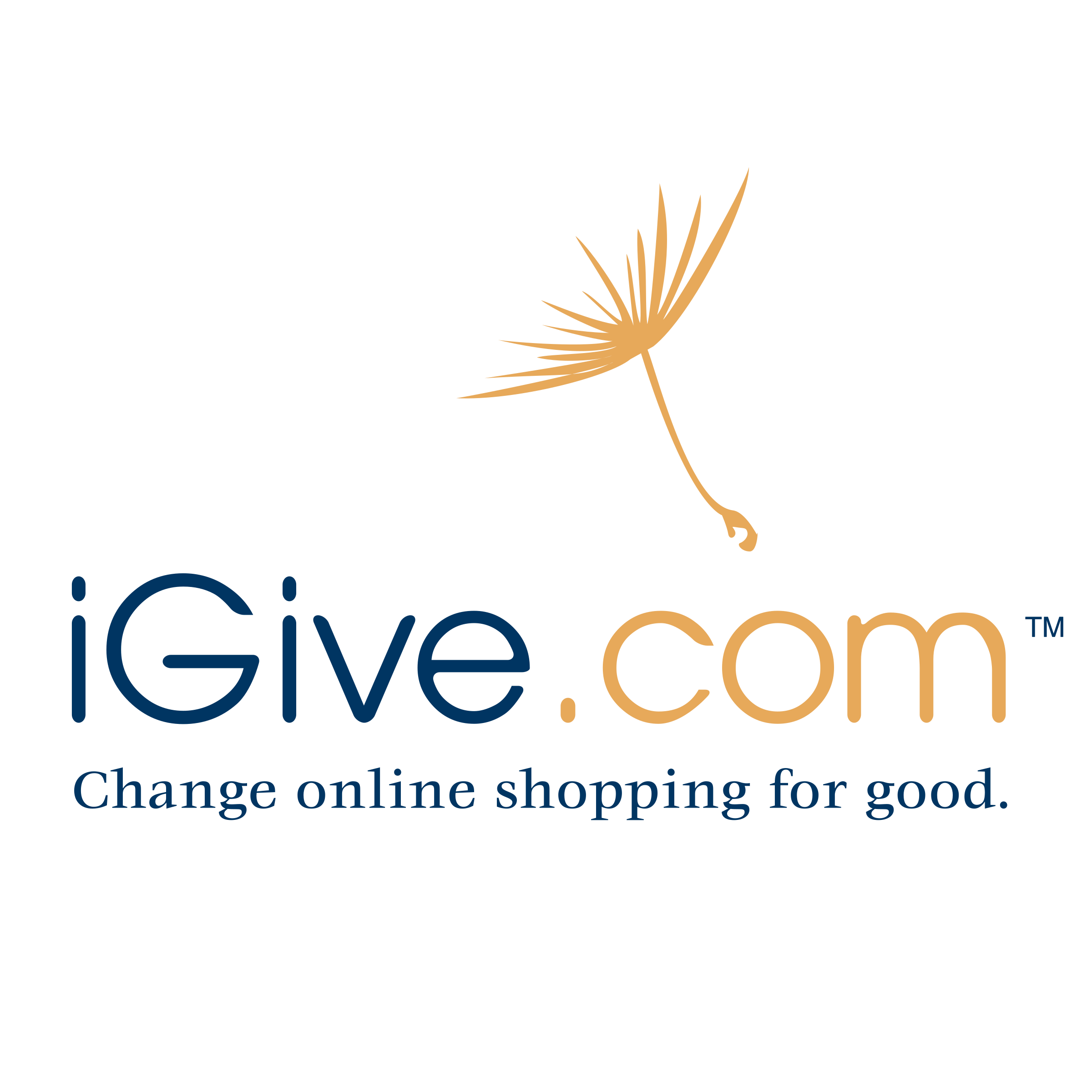 iGive Logo