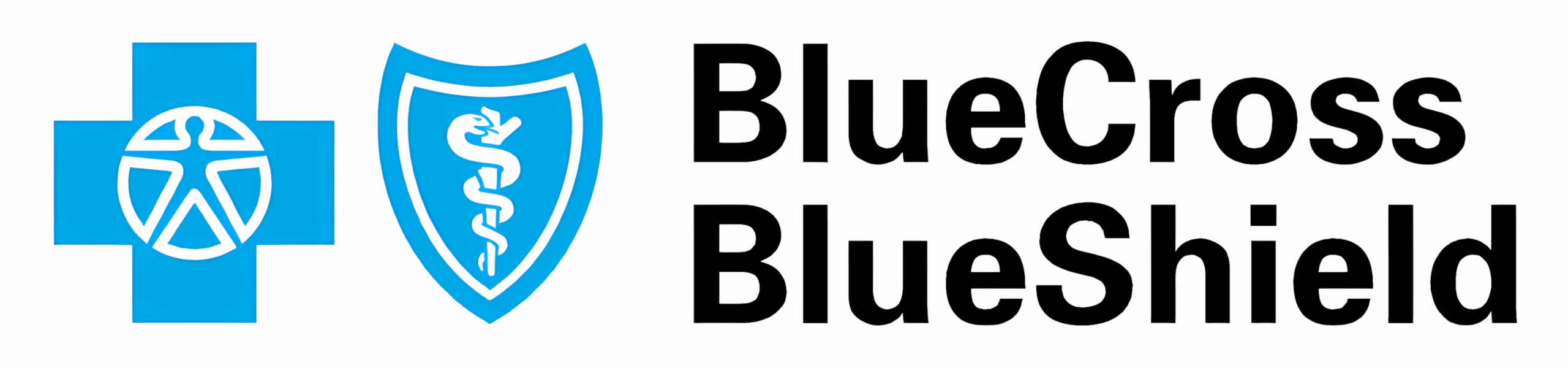Blue Cross Blue Shield Association Logo
