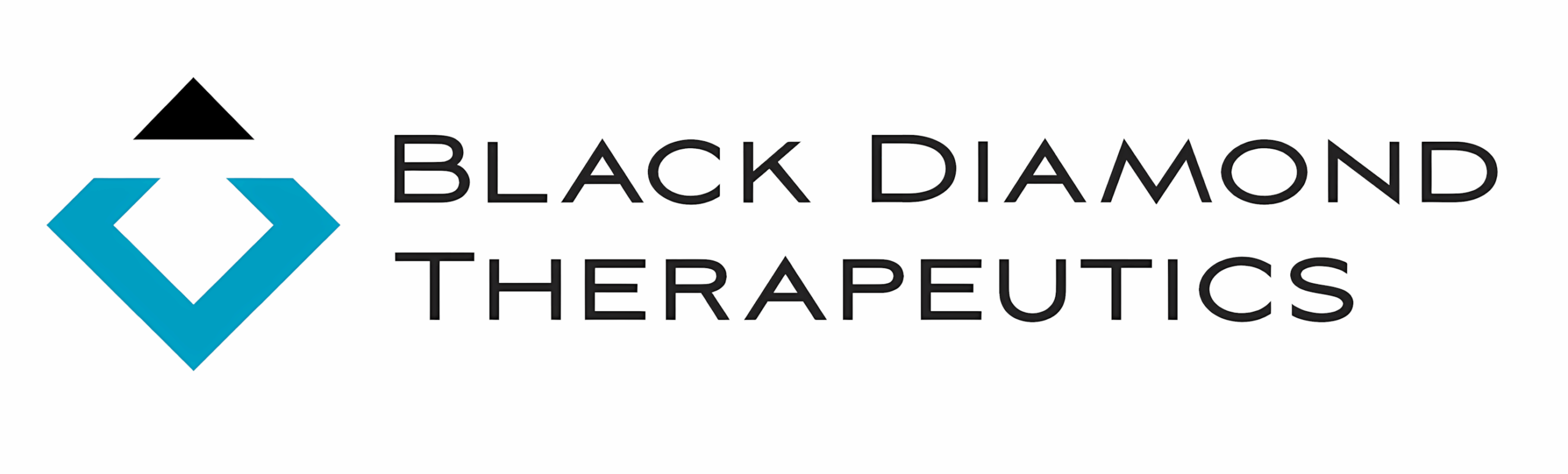 Black Diamond Therapeutics Logo