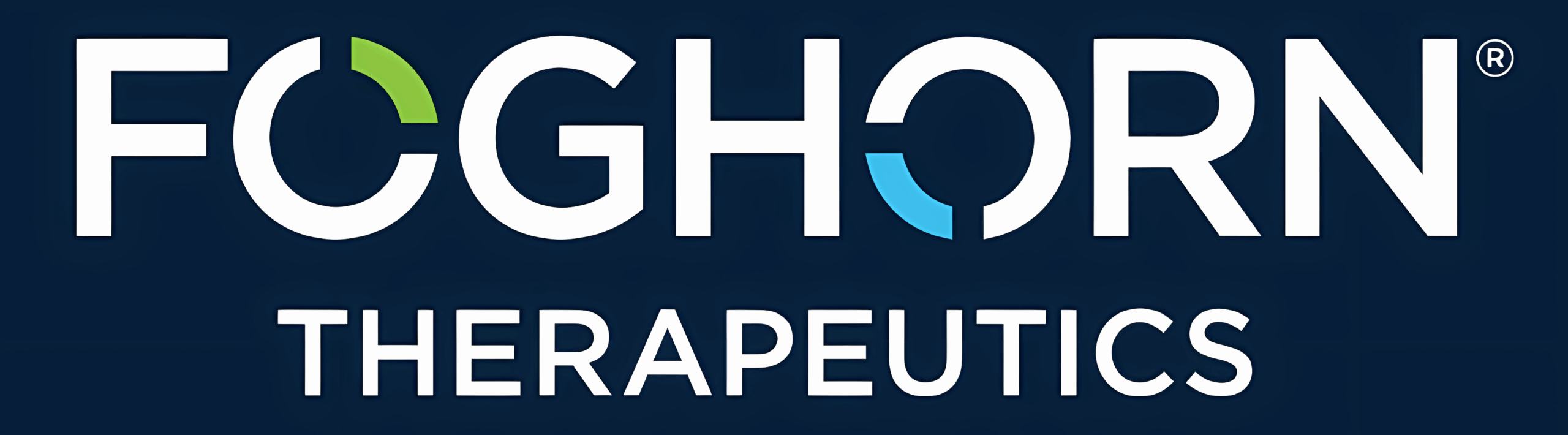 Foghorn Therapeutics Logo
