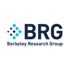 Berkeley Research Group logo