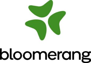 Bloomerang logo