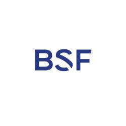 Boies Schiller Flexner LLP logo