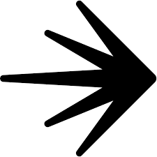 LaunchDarkly logo