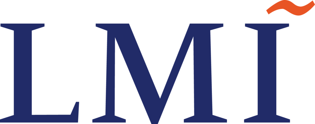 LMI Consulting LLC logo