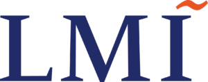 LMI Consulting LLC logo