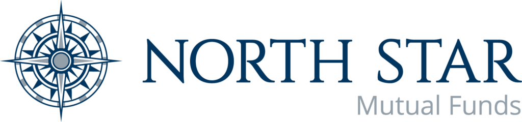 North Star Investment logo