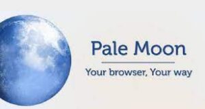 Pale Moon logo
